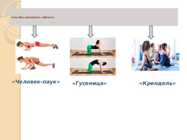   Способы проверить гибкость    «Человек-паук» «Гусеница» «Крендель» 