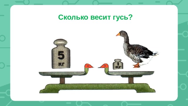 Сколько весит гусь