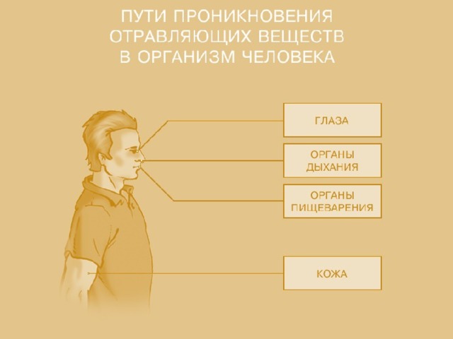 5. Защита: ГП всех типов Ватно-марлевая повязка смоченная в 5% растворе лимонной кислоты  6. Первая помощь: Надеть противогаз Вынести из опасной зоны Кожу обмыть водой, при ожогах наложить повязку Промыть глаза Дать вдохать тёплые водяные пары При остановке дыхания сделать искусственное дыхание 5. Защита: ГП всех типов  Ватно-марлевая повязка смоченная в 2% растворе питьевой соды  6. Первая помощь: Надеть противогаз Вынести из опасной зоны Кожу обмыть водой, при ожогах наложить повязку Транспортировать в положении лёжа При остановке дыхания сделать искусственное дыхание  