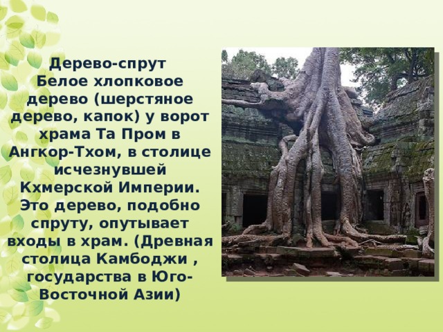 Конспект занятия по патриотическому воспитанию в подготовительной группе детског