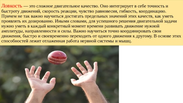 Ловкость — это сложное двигательное качество. Оно интегрирует в себе точность и быстроту движений, скорость реакции, чувство равновесия, гибкость, координацию. Причем не так важно научиться достигать предельных значений этих качеств, как уметь проявлять их дозированно. Иными словами, для успешного решения двигательной задачи нужно уметь в каждый конкретный момент времени развивать движение нужной амплитуды, направленности и силы. Важно научиться точно координировать свои движения, быстро и своевременно переходить от одного движения к другому. В основе этих способностей лежит отлаженная работа нервной системы и мышц. 