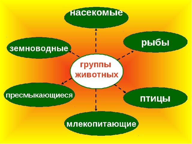 Правильно ли расположены группы животных в схеме отражающей усложнение системы органов дыхания