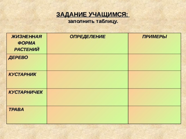 Жизненные формы растений. 6 класс