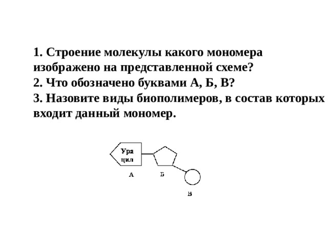 1. Строение молекулы какого мономера изображено на представленной схеме?  2. Что обозначено буквами А, Б, В?  3. Назовите виды биополимеров, в состав которых входит данный мономер.    