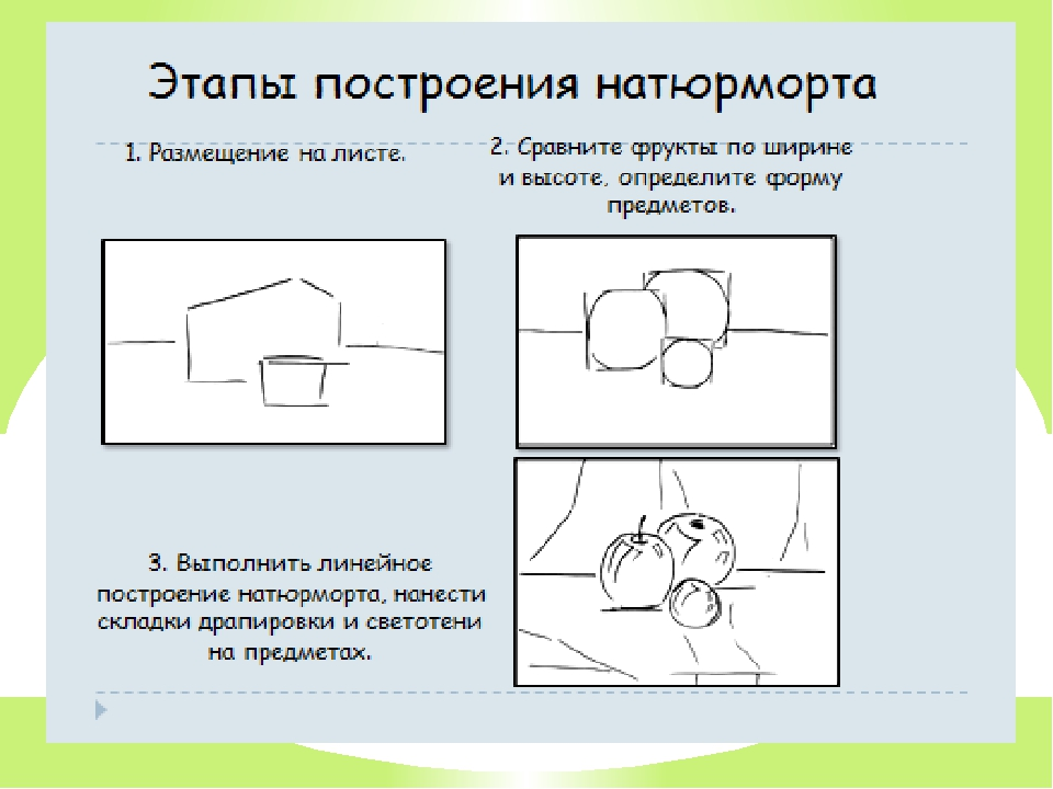 Рисунок стадии. Компоновка натюрморта на листе. Композиционное размещение натюрморта в лист. Композиционное построение натюрморта. Этапы построения натюрморта.