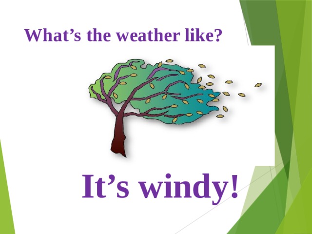 What’s the weather like? It’s windy! 