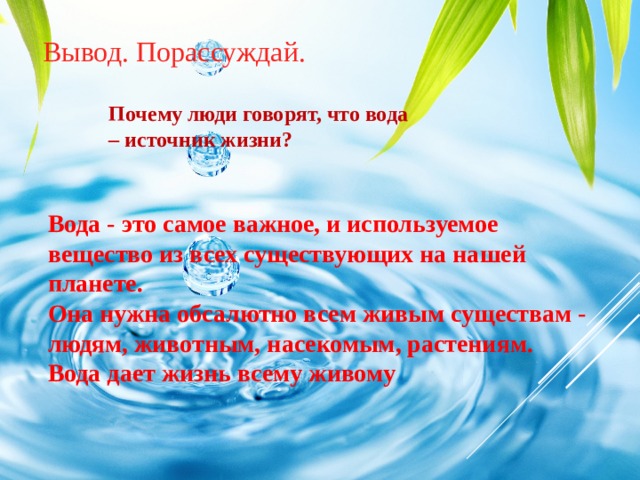 Для каких процессов нужна вода. Растениям нужна вода. Для чего нужна вода растениям. Картинки зачем нужна вода растениями.