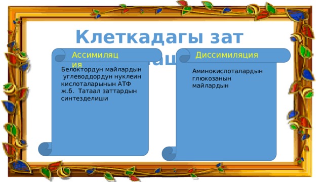 Клеткадагы зат алмашуу Ассимиляция  Диссимиляция  Белоктордун майлардын углеводдордун нуклеин кислоталарынын АТФ ж.б. Татаал заттардын синтезделиши Аминокислоталардын глюкозанын майлардын 