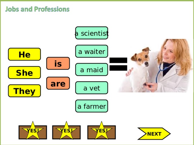 a scientist a waiter He is a maid She are a vet They a farmer YES! YES! YES! NEXT 