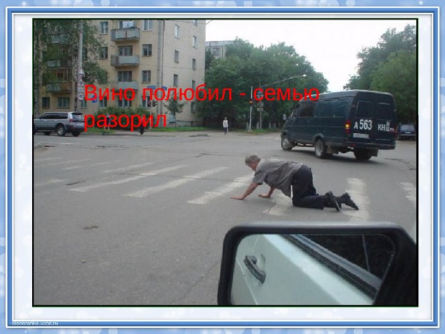 Вино полюбил - семью разорил 
