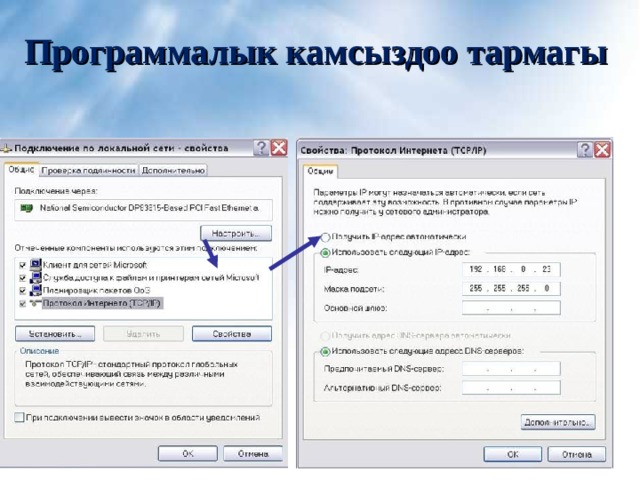 Программалык камсыздоо тармагы 