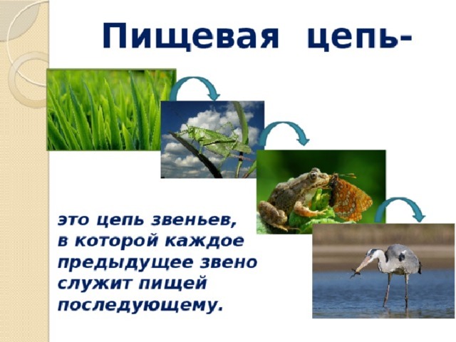 Презентация животные и среда их обитания 2 класс