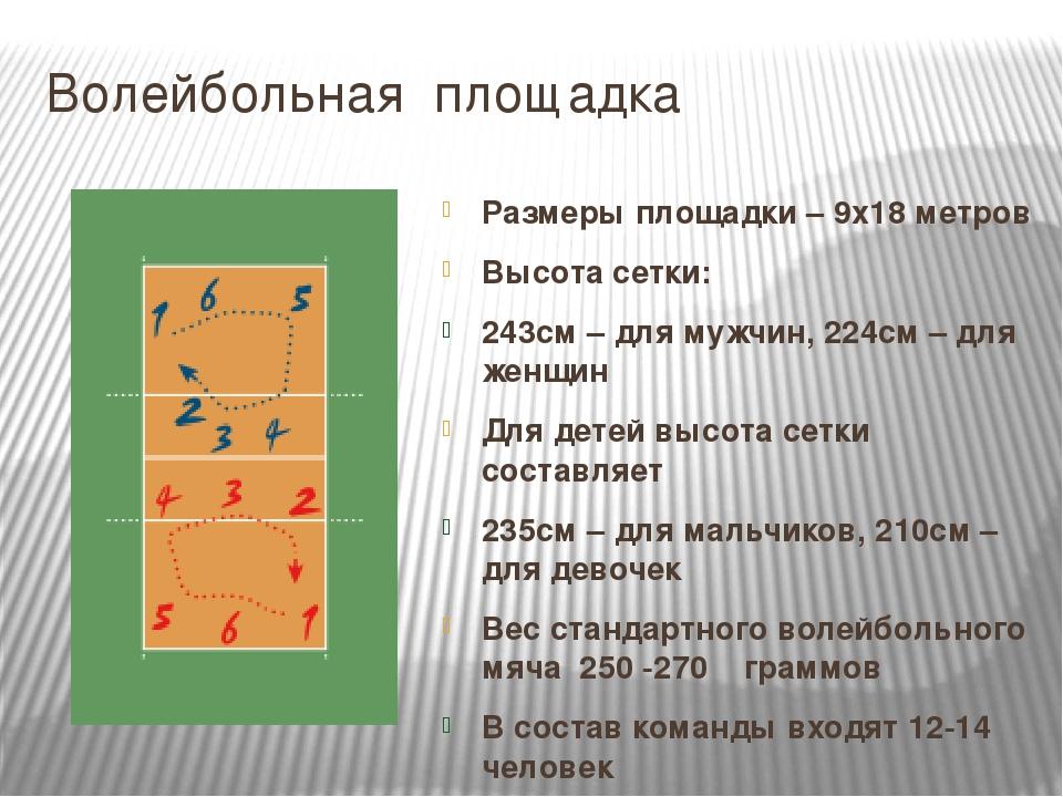 Место подачи. Волейбольная площадка опхмер. Размеры волейбольной площадки. Зоны игрового поля в волейболе. Площадка для волейбола Размеры.