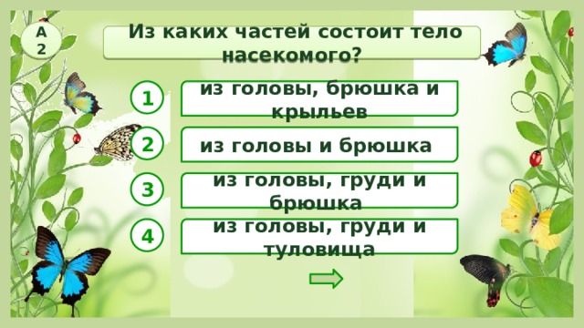 Из каких 2 частей состоит