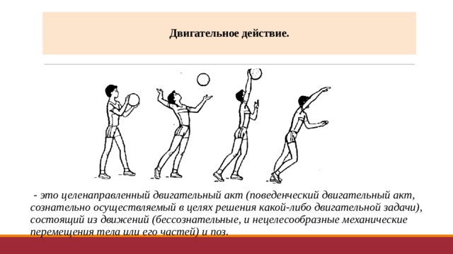 Виды двигательных действий. Двигательный акт. Сложные двигательные акты. Схема двигательного акта. Строение двигательных актов.