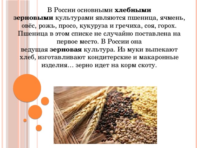 Основные зерновые культуры России. Основная зерновая культура в России. Зерновыми культурами являются. Важнейшей зерновой культурой России является. Крупнейшим производителем пшеницы является