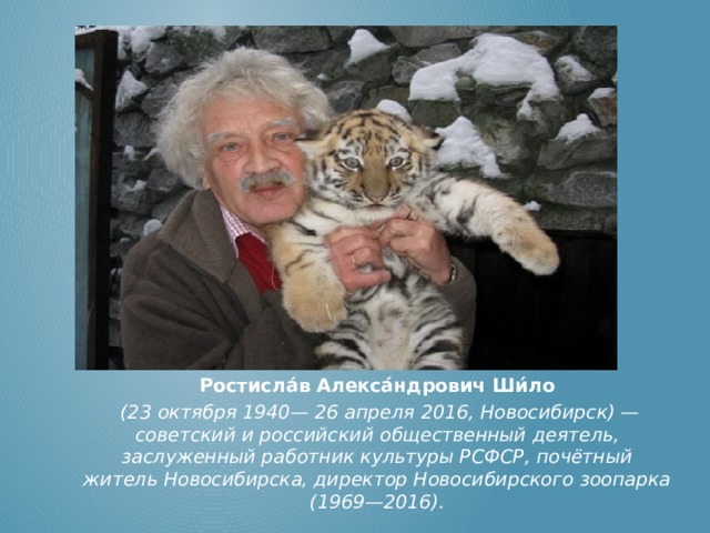 Директор новосибирского зоопарка андрей шило биография фото