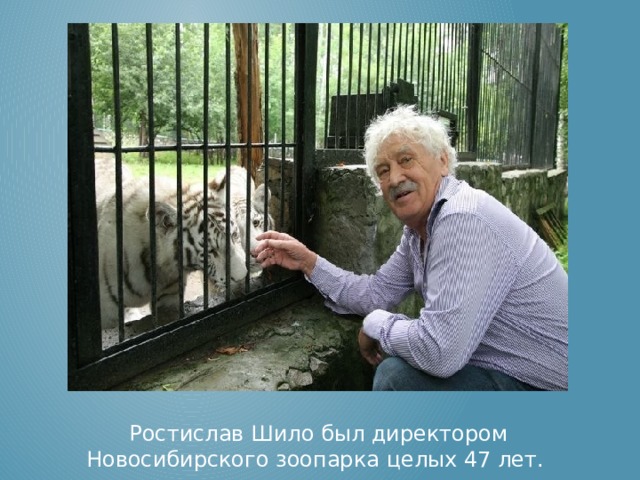 Ростислав Шило был директором Новосибирского зоопарка целых 47 лет. 