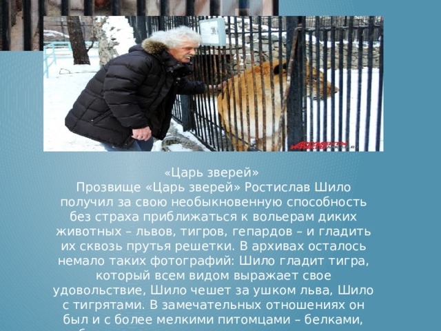 Прозвища зверей в народных. Богатства отданные людям зоопарк Новосибирск.