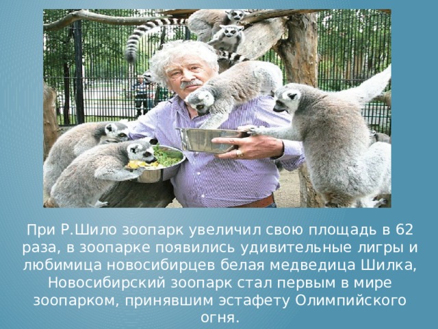 При Р.Шило зоопарк увеличил свою площадь в 62 раза, в зоопарке появились удивительные лигры и любимица новосибирцев белая медведица Шилка, Новосибирский зоопарк стал первым в мире зоопарком, принявшим эстафету Олимпийского огня. 