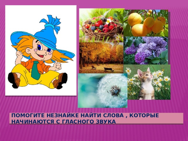 Помогите незнайке найти слова , которые начинаются с гласного звука 