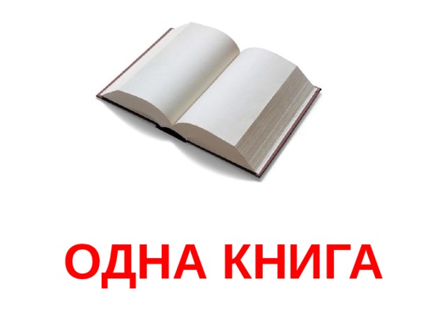 ОДНА КНИГА 