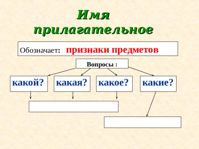 Имя  прилагательное Обозначает :  признаки предметов  Вопросы : какой? какая? какое? какие?     