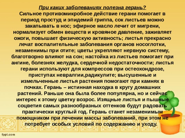 При каких заболеваниях полезна герань?  Сильное противомикробное действие герани помогает в период простуд и эпидемий гриппа, сок листьев можно закапывать в нос; эфирное масло лечит от мигрени, нормализует обмен веществ и кровяное давление, заживляет ожоги, повышает физическую активность; листья прекрасно лечат воспалительные заболевания органов носоглотки, незаменимы при отите; цветы укрепляют нервную систему, благотворно влияют на сон; настойка из листьев помогает при ангине, болезнях желудка, сердечной недостаточности; листья герани используют для компрессов при остеохондрозе, приступах невралгии,радикулите; высушенные и измельченные листья растения помогают при камнях в почках. Герань – истинная находка в кругу домашних растений. Раньше она была более популярна, но и сейчас интерес к этому цветку возрос. Изящные листья и пышные соцветия самых разнообразных оттенков будут радовать практически круглый год. Герань станет незаменимым помощником при лечении массы заболеваний, при этом не потребует особых условий по содержанию и уходу.   