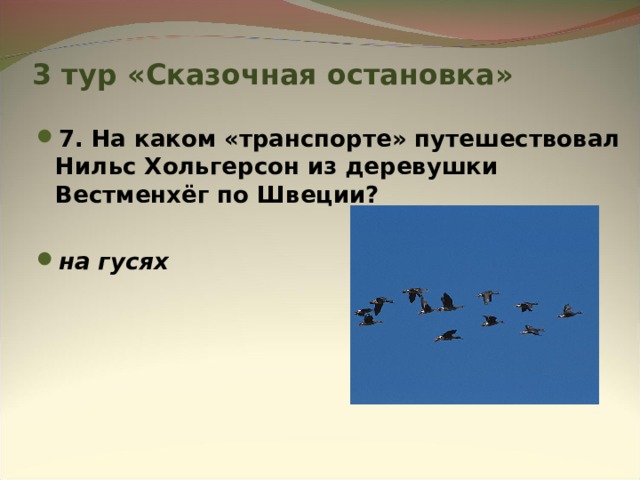 3 тур «Сказочная остановка» 7. На каком «транспорте» путешествовал Нильс Хольгерсон из деревушки Вестменхёг по Швеции?  на гусях 