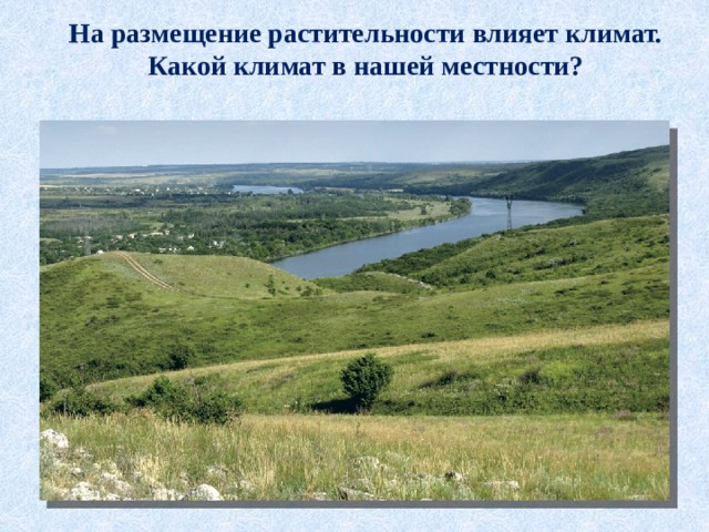 На размещение растительности влияет климат. Какой климат в нашей местности? 