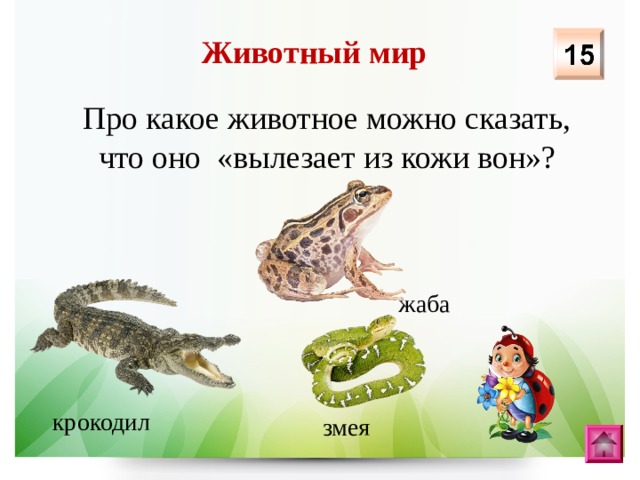 Животный мир Про какое животное можно сказать, что оно «вылезает из кожи вон»? жаба крокодил змея 