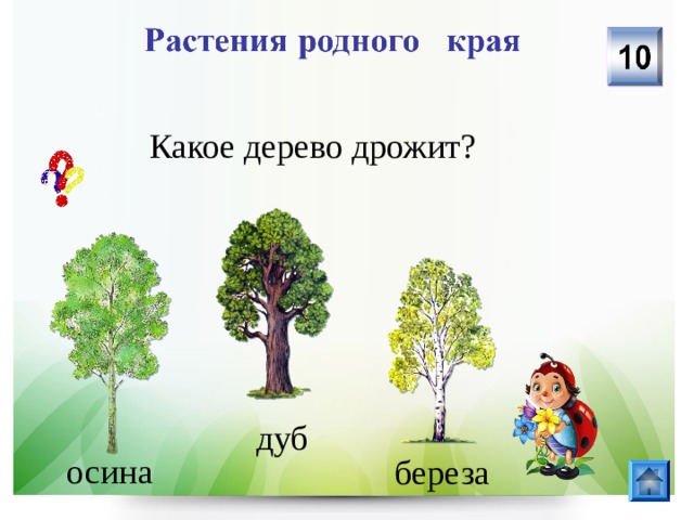 Дерево какой вопрос. Какое дерево дрожит. Осина к какому ярусу относится. Осина какая прилагательные. Осина и дуб какой это лес?.