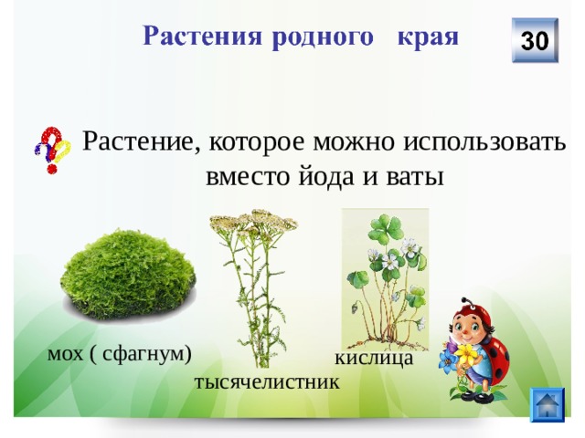 Растение, которое можно использовать вместо йода и ваты мох ( сфагнум) кислица тысячелистник 
