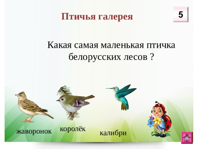 Птичья галерея Какая самая маленькая птичка белорусских лесов ? королёк жаворонок калибри 
