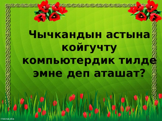 Чычкандын астына койгучту  компьютердик тилде эмне деп аташат? 