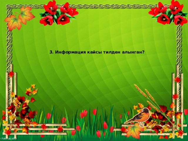     3. Информация кайсы тилден алынган?   