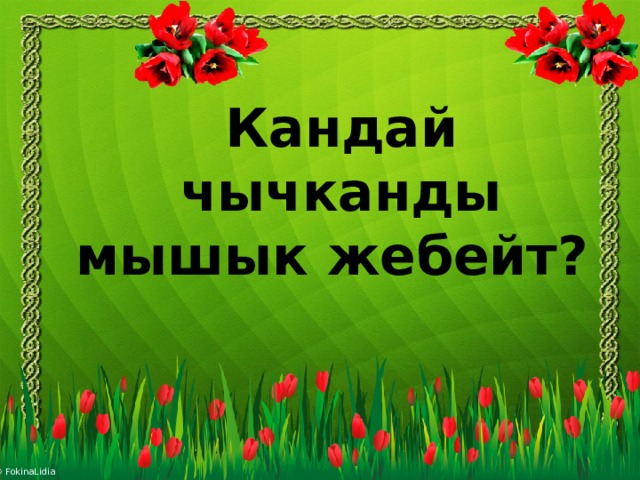 Кандай чычканды мышык жебейт? 