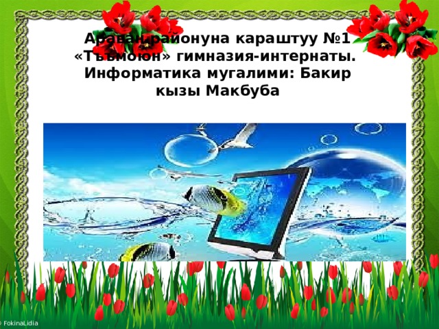 Араван районуна караштуу №1 «Тъъмоюн» гимназия-интернаты. Информатика мугалими: Бакир кызы Макбуба  