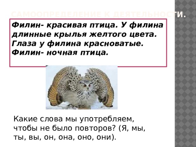 Самоопределение к деятельности. Филин- красивая птица. У филина длинные крылья желтого цвета. Глаза у филина красноватые. Филин- ночная птица.  Какие слова мы употребляем, чтобы не было повторов? (Я, мы, ты, вы, он, она, оно, они). 