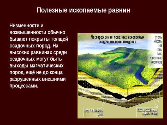 Полезные ископаемые равнин Низменности и возвышенности обычно бывают покрыты толщей осадочных пород. На высоких равнинах среди осадочных могут быть выходы магматических пород, ещё не до конца разрушенных внешними процессами. 