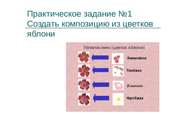 Практическое задание №1  Создать композицию из цветков яблони 