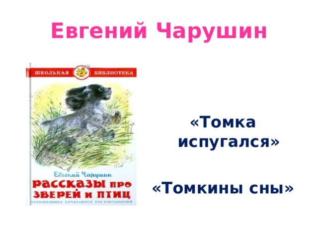 Чарушин томкины сны. Произведения Чарушина 2 класс. Заполни модель обложки Томкины сны Чарушин. Вопросы к рассказу Томка.