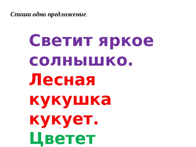 Спиши одно предложение . Светит яркое солнышко. Лесная кукушка кукует. Цветет душистая сирень. 