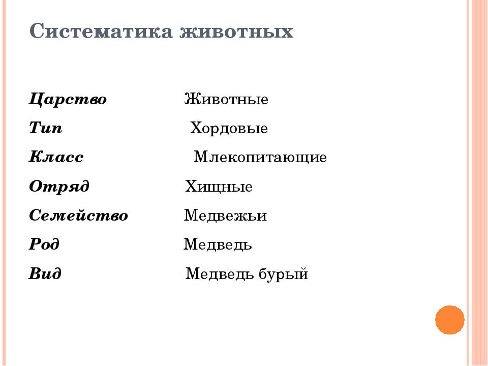 Типы классы отряды семейства роды виды. Современная систематика животных таблица. Царство животные систематические группы. Систематика животных таблица 7 класс. Систематика животных 5 класс биология.