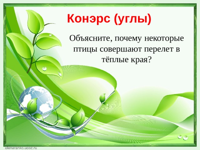 Конэрс (углы) Объясните, почему некоторые птицы совершают перелет в тёплые края? 
