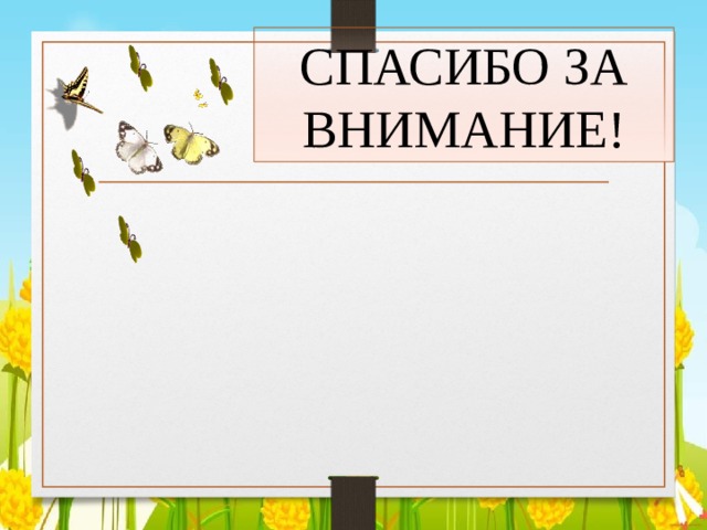 СПАСИБО ЗА ВНИМАНИЕ! 