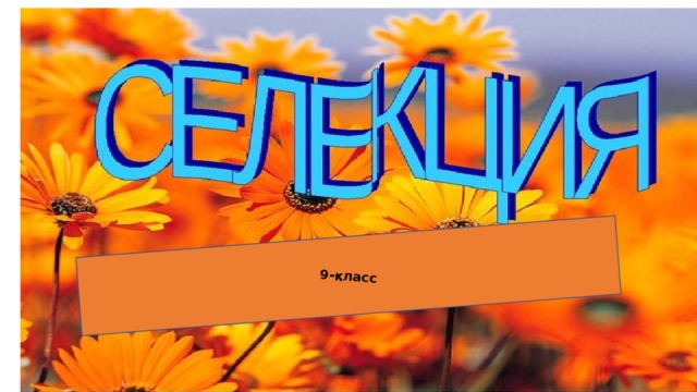 9-класс 