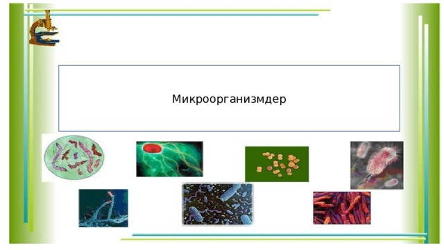 Микроорганизмдер 