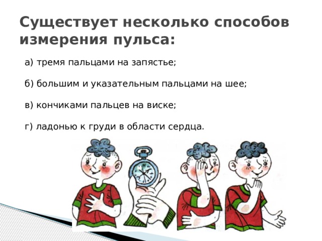 Существует несколько способов измерения пульса: а) тремя пальцами на запястье;   б) большим и указательным пальцами на шее;   в) кончиками пальцев на виске;  г) ладонью к груди в области сердца. 