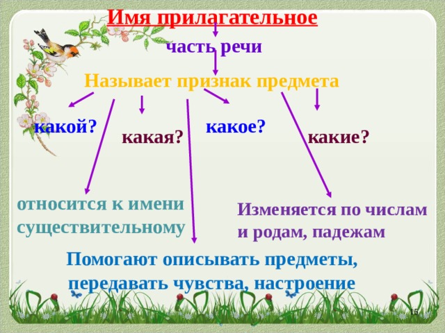 Проект по теме имя прилагательное 6 класс